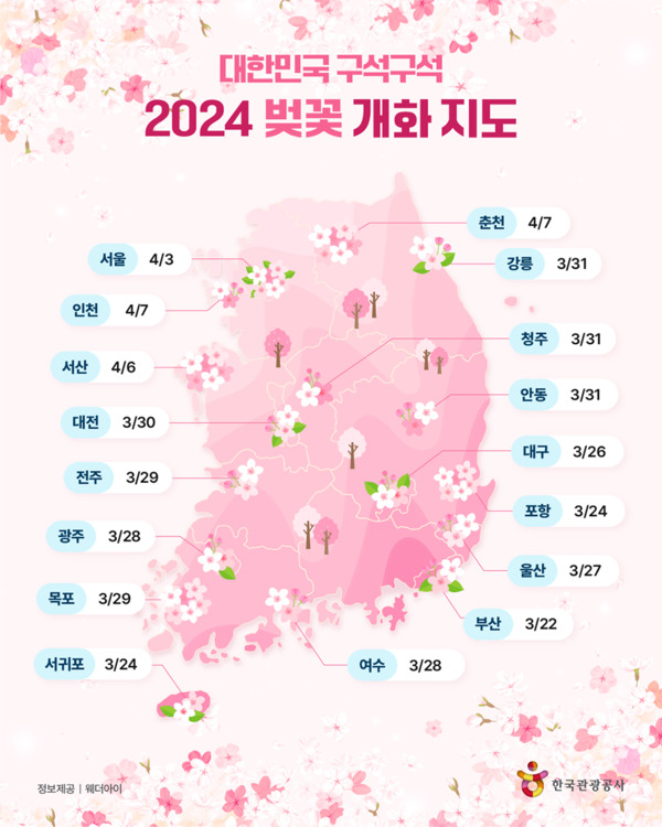 전국지역별 2024년 벚꽃개화시기, 만개시기 (한국관광공사, 웨더아이 제공)